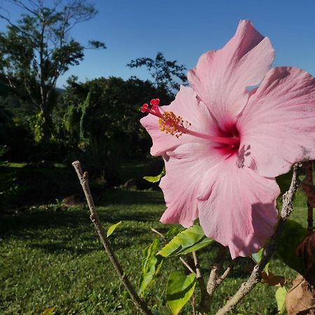 סנט-רוז La Joupa Case Anthurium מראה חיצוני תמונה