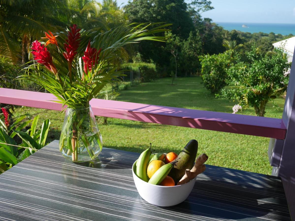 סנט-רוז La Joupa Case Anthurium מראה חיצוני תמונה